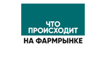 img/img-10382.jpg