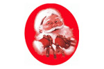 img/img-7853.jpg